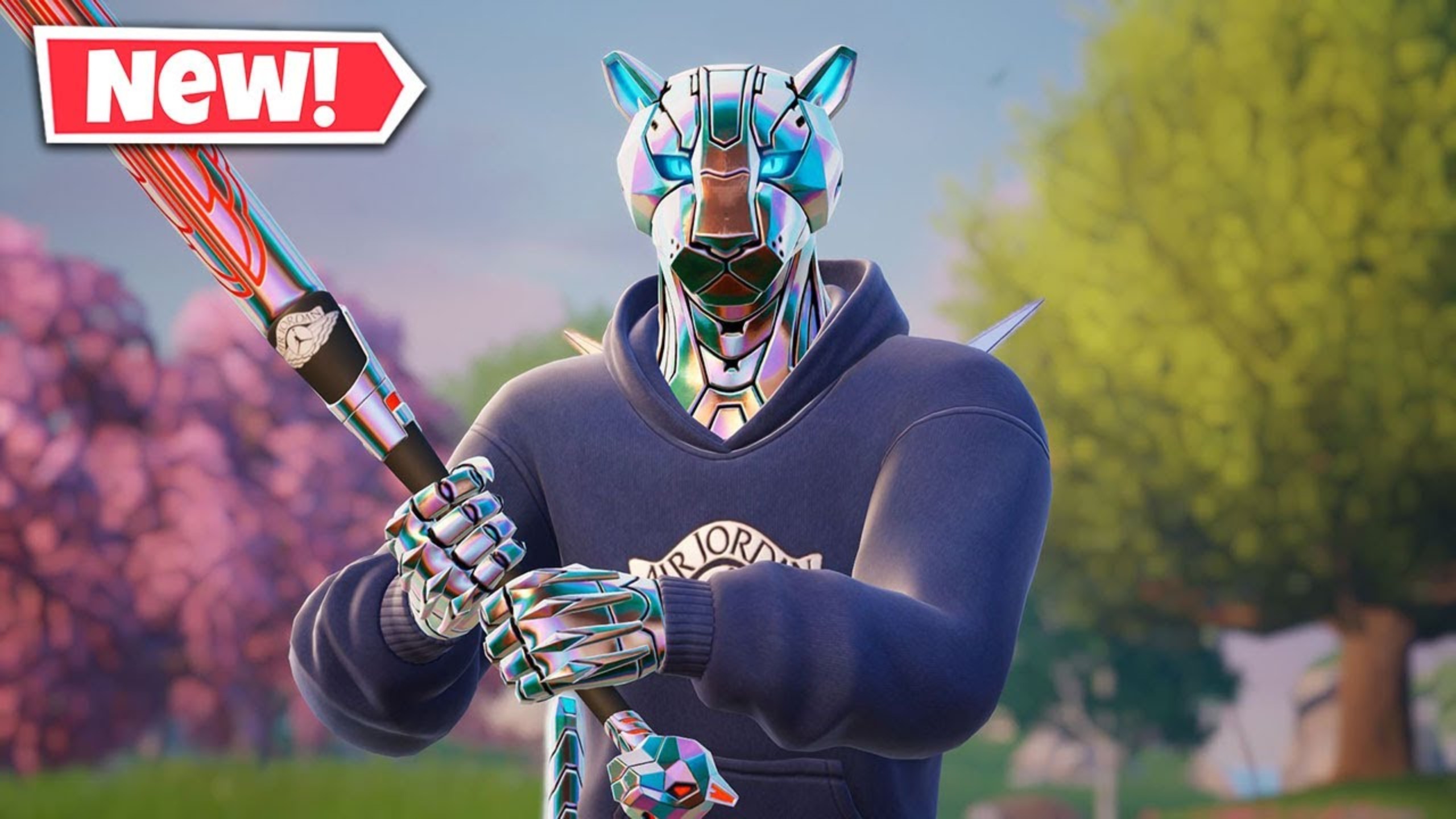 会问题的看 会问题的看